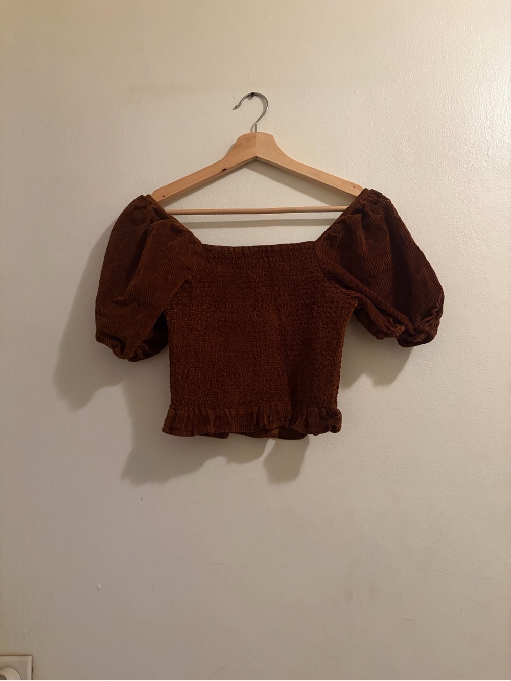 American Eagle Outfitters Brown Smocked Off-Shoulder Puff Sleeve Crop Top